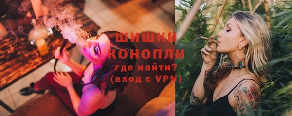 МДПВ Инсар